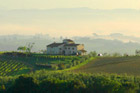 Florence