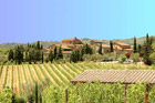 Florence