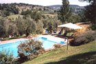 Todi