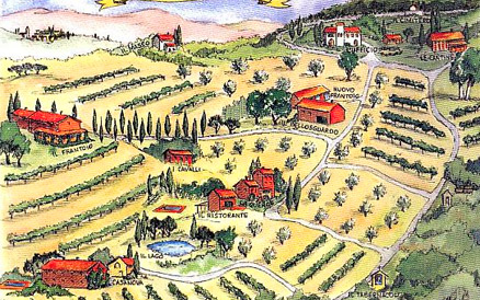 foto: Wijn agriturismo met zwembad, restaurant en kookcursus 20 km van Florence