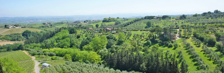 Kleinschalig-vakantie-agriturismo-op-loopafstand-Toscaans-stadje