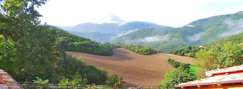 foto: Kindvriendelijk Marche agriturismo in de heuvels bij Urbino