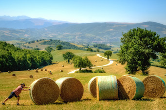 vakantie agriturismo midden in le Marche, Oost Italie
